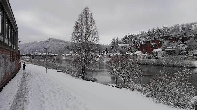 Moselufer in Trier-Nord mit Blick auf Mariensaeule
